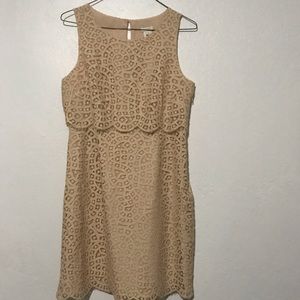 J. Crew Dress